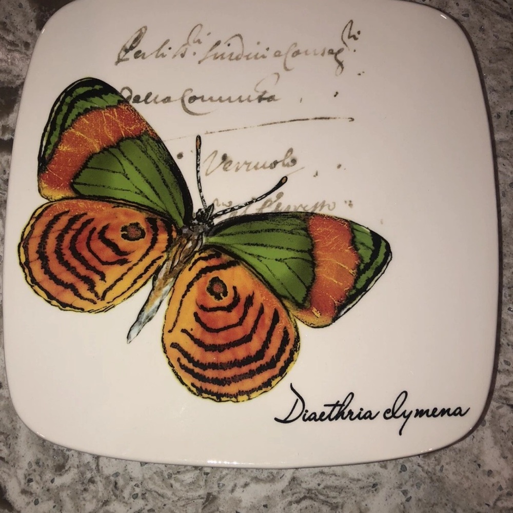 Butterfly Design Square Plate